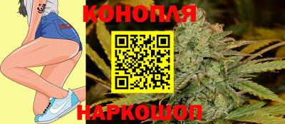 Альфа ПВП Ипатово