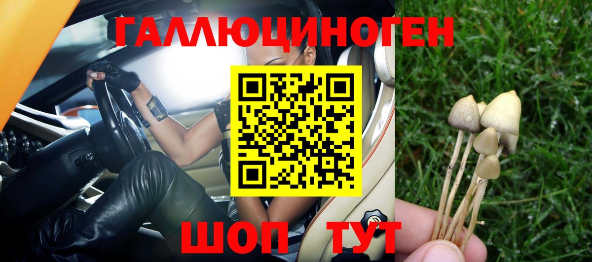Псилоцибиновые грибы прущие грибы  Вход с VPN  Кубинка 