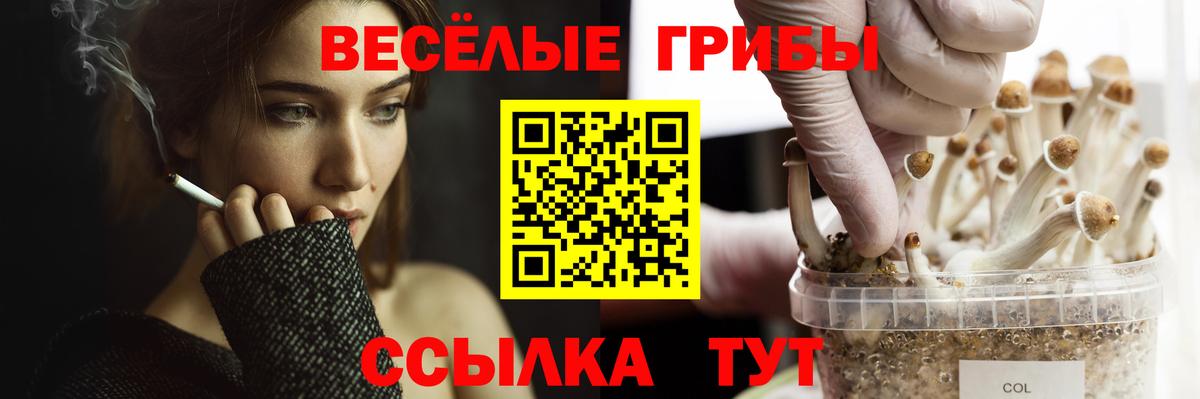 Псилоцибиновые грибы MAGIC MUSHROOMS Кубинка